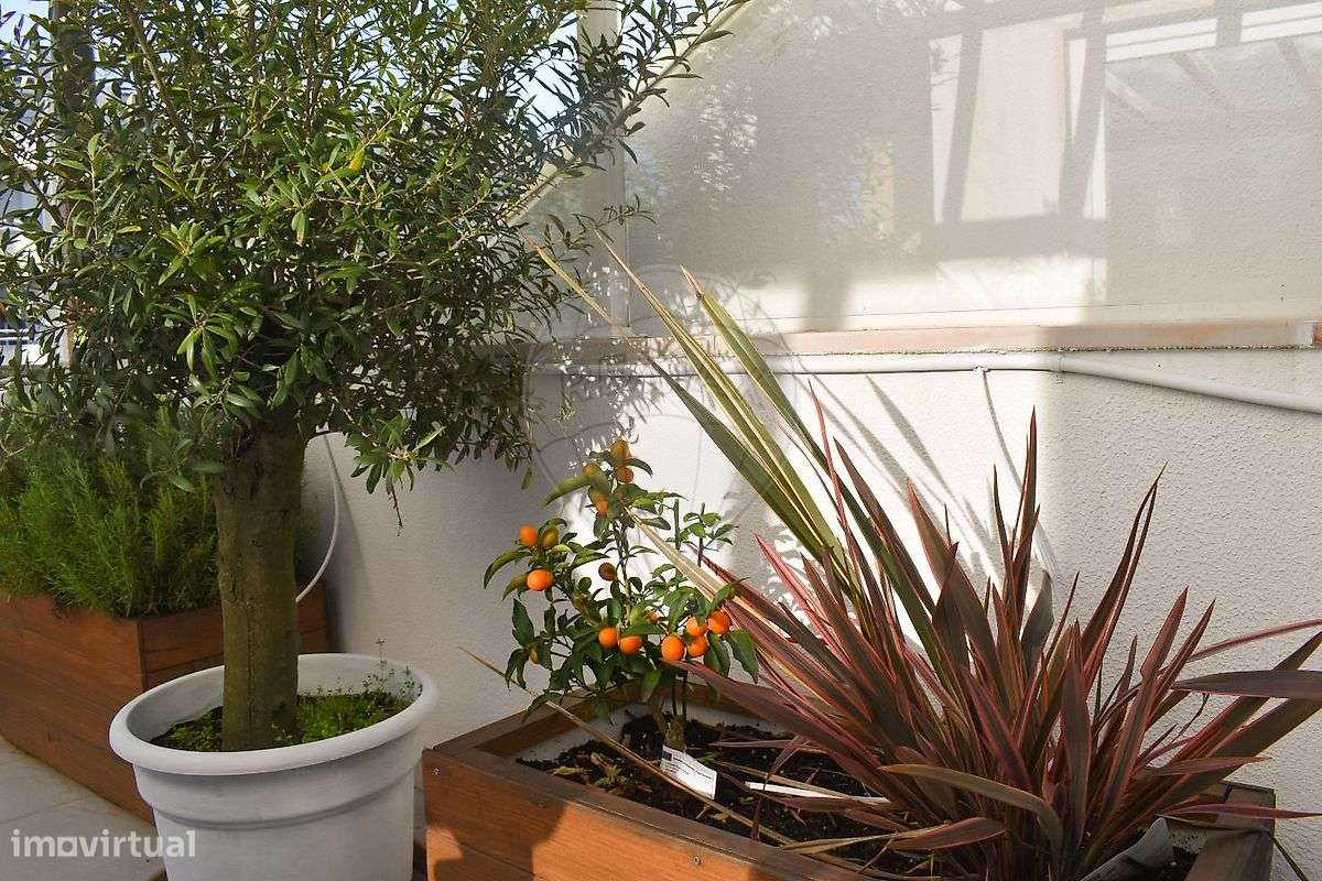 Apartamento T1 para arrendamento - Grande imagem: 4/22