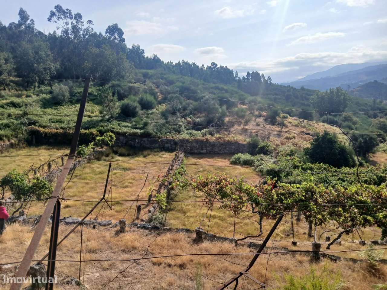 Terreno rústico com casa em pedra para recuperar – Soajo, Arcos de Val-28