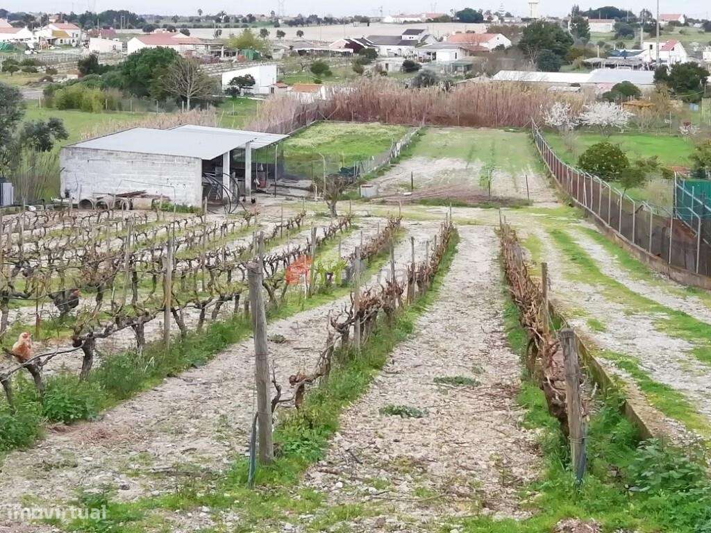 Quinta em Palmela com 10.000 m2 e moradia T5 - Grande imagem: 2/59