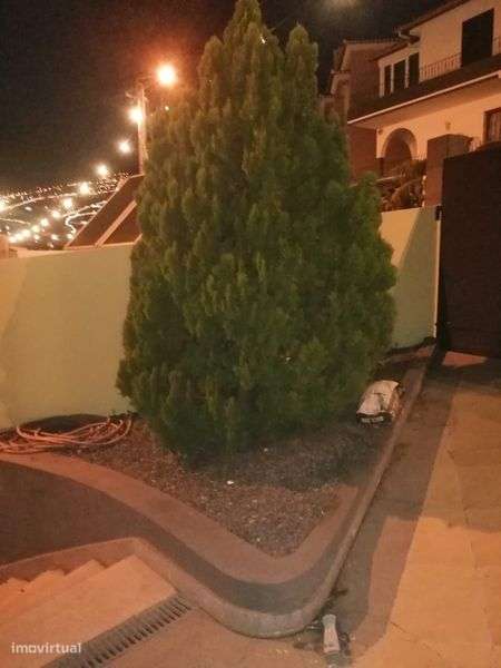 Ilha da madeira cdrsese casa /armazen/garagen/apartamento t2+1 - Grande imagem: 4/4