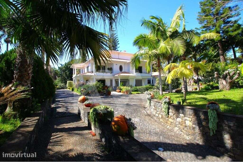 Esplêndida casa, ( 6 suites grandes), 4 salas grandes, 9 WC, cerca de - Grande imagem: 5/60