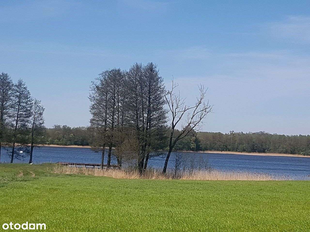 Piękna Działka nad Jez. Dadaj, 25 km Od Olsztyna - Pełny obrazek: 4/4