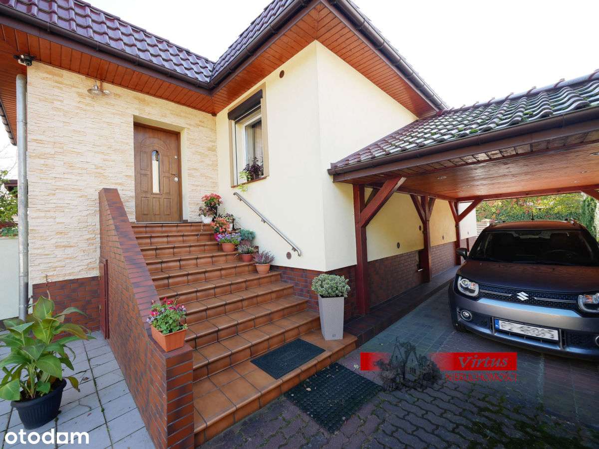 dome przy ścianie lasu-0