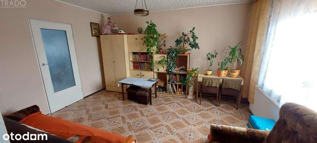 Gospodarstwo 5,72 ha Góraj gm. Babiak-12