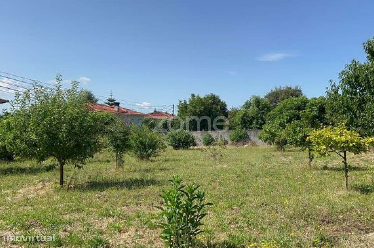 Construa a Casa dos Seus Sonhos em Escariz – Terreno Plano à Venda - Grande imagem: 5/16