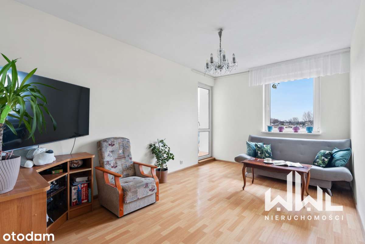 Dwupoziomowe*dwie komórki*Las Kabacki - Pełny obrazek: 4/20