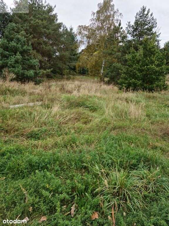 Działka, 551 m², Łąkie - Pełny obrazek: 5/11