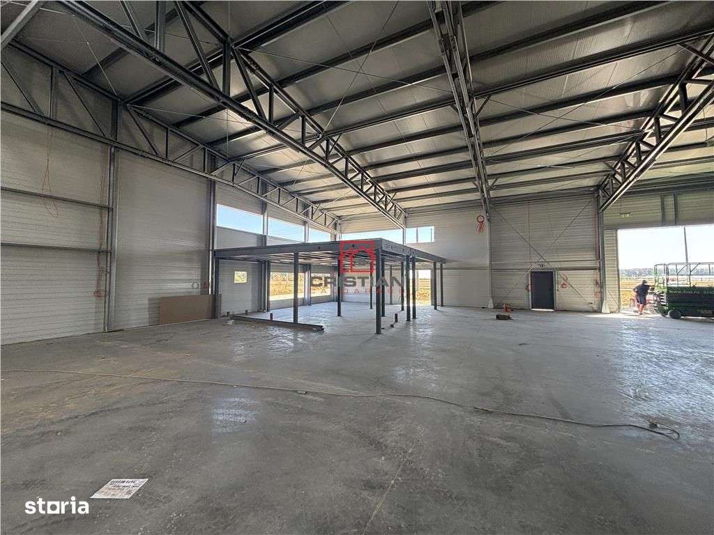 Vanzare depozithalaspatiu industrial Mogosoaia - Buftea - Imagine principală: 4/13
