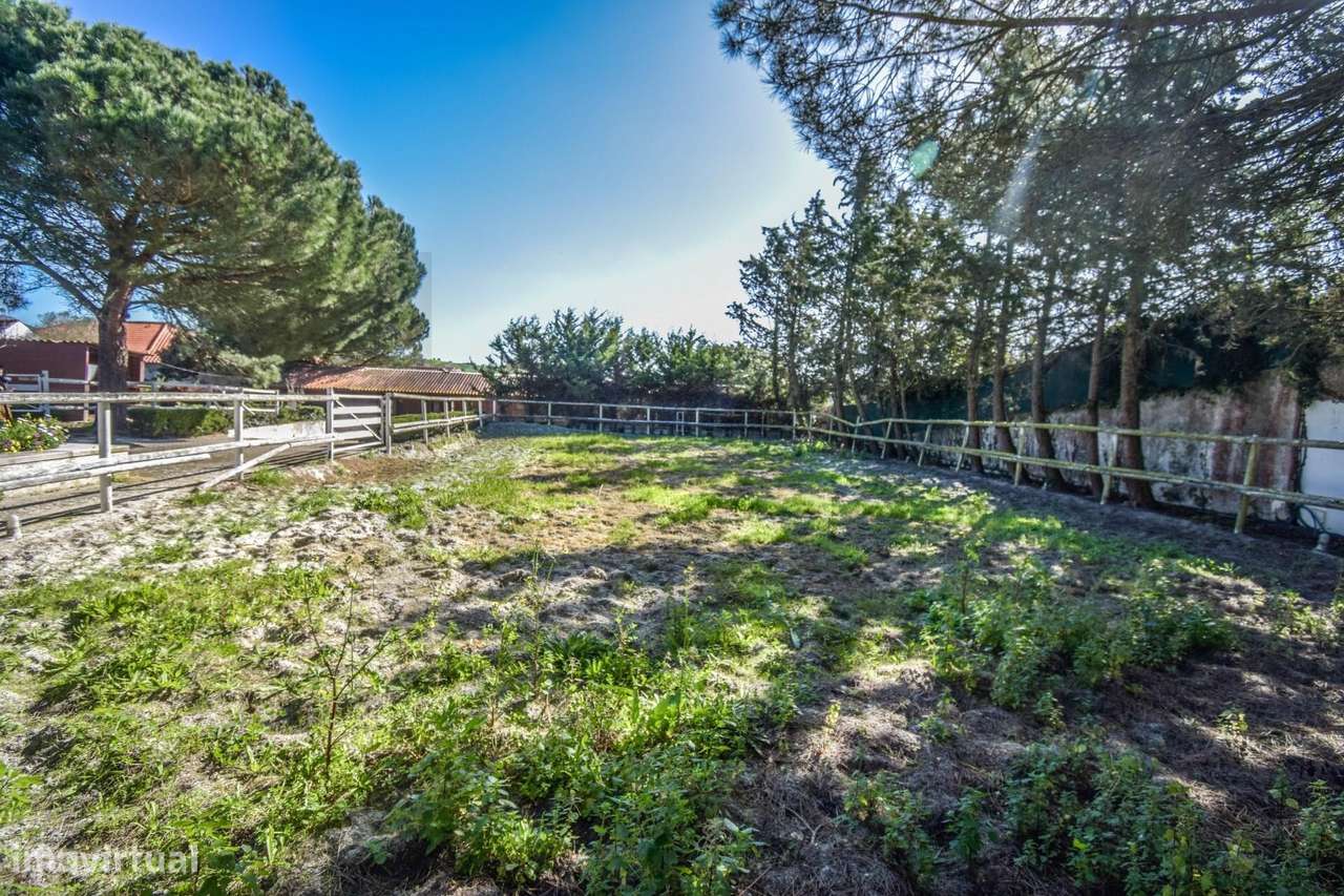 Quinta com Solar e Capela - Referência Histórica em Mafra-43