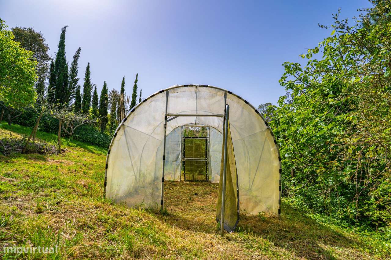 Moradia T3 localizada no Carvalhal, Bombarral-36