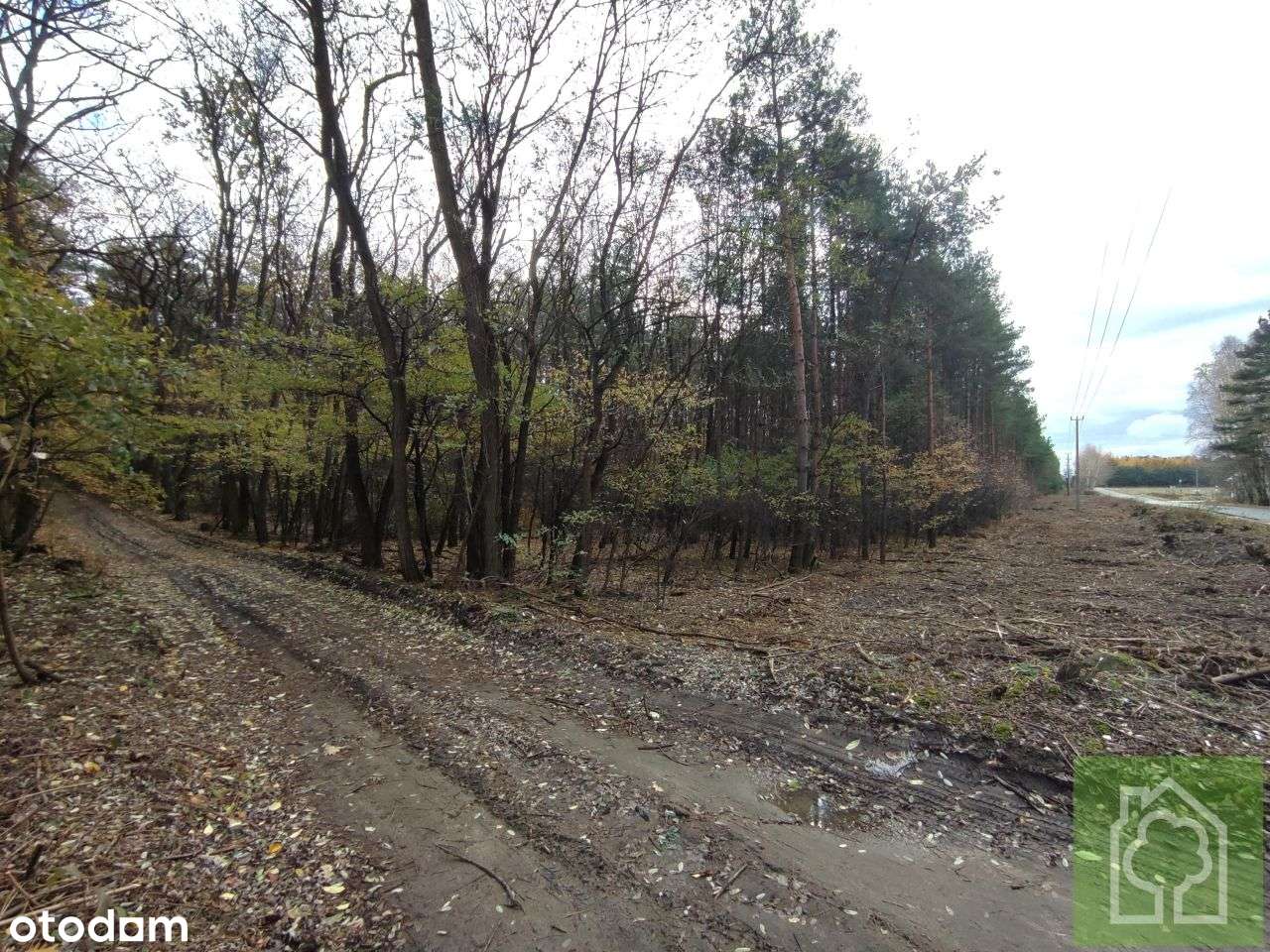 Działka, 3 517 m², Obrowo - Pełny obrazek: 3/10