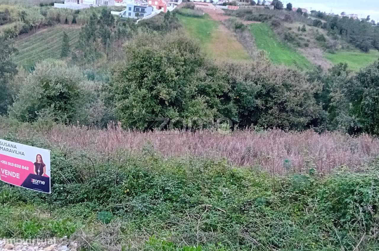 Vende-se Terreno Rústico em Rochaforte- Cadavalr - Grande imagem: 4/11