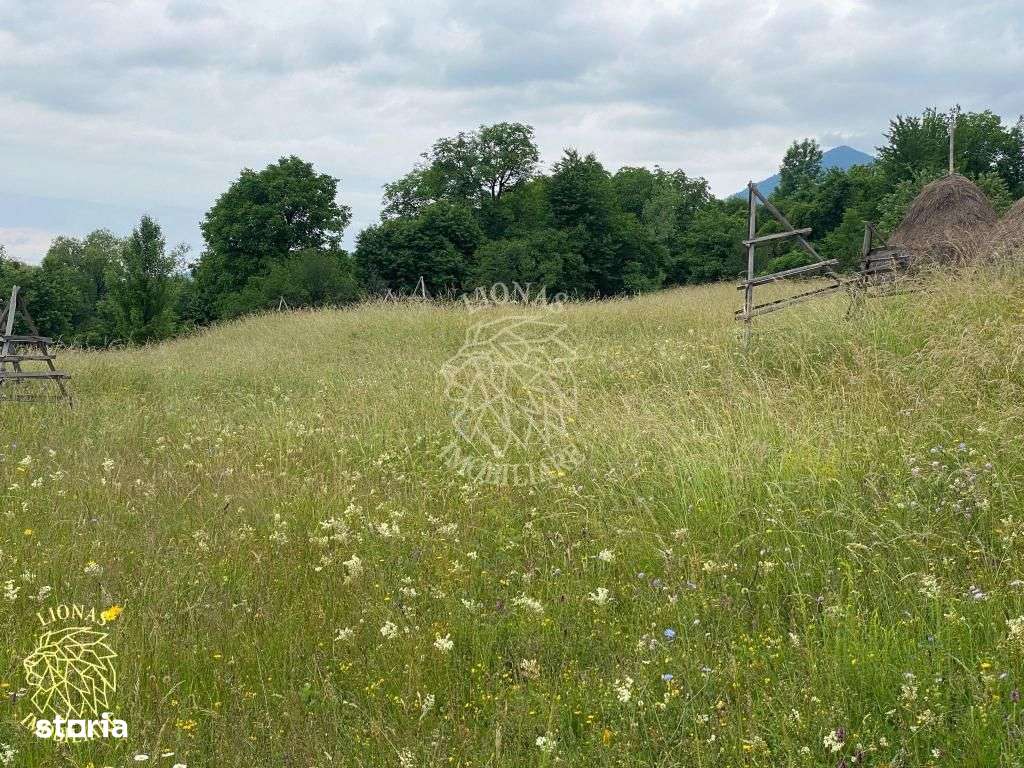 Teren Intravilan 3093 mp-ideal case/cabane/pensiune-Bistrita Bargaului - Imagine principală: 3/6