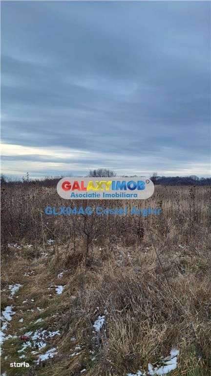 Vindem teren intravilan 3500 mp Smeura - Imagine principală: 5/6