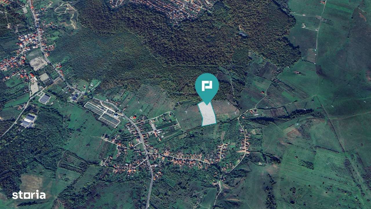 Teren fâneaţă lângă pădure - Hunedoara - Imagine principală: 3/3