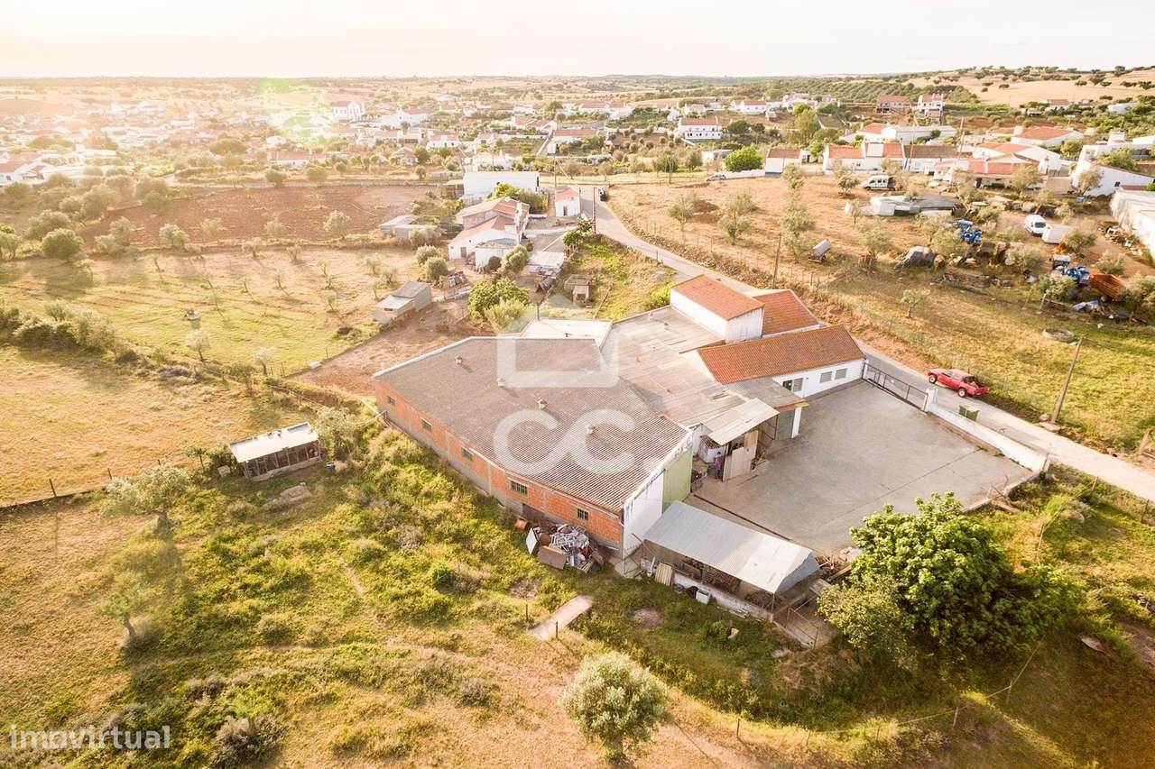 Quinta de 8250 m2 com Moradia T3+1 e Armazém | Nossa Sra. de Machede - Grande imagem: 3/34