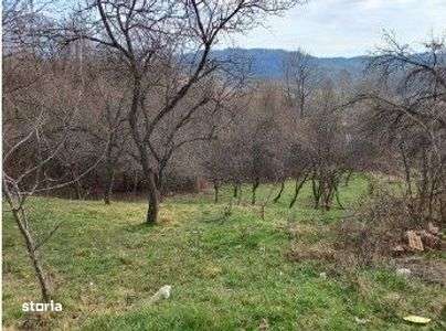 Teren Vulcana Bai, cota parte de 1/4, ID: R2583083 - Imagine principală: 1/5