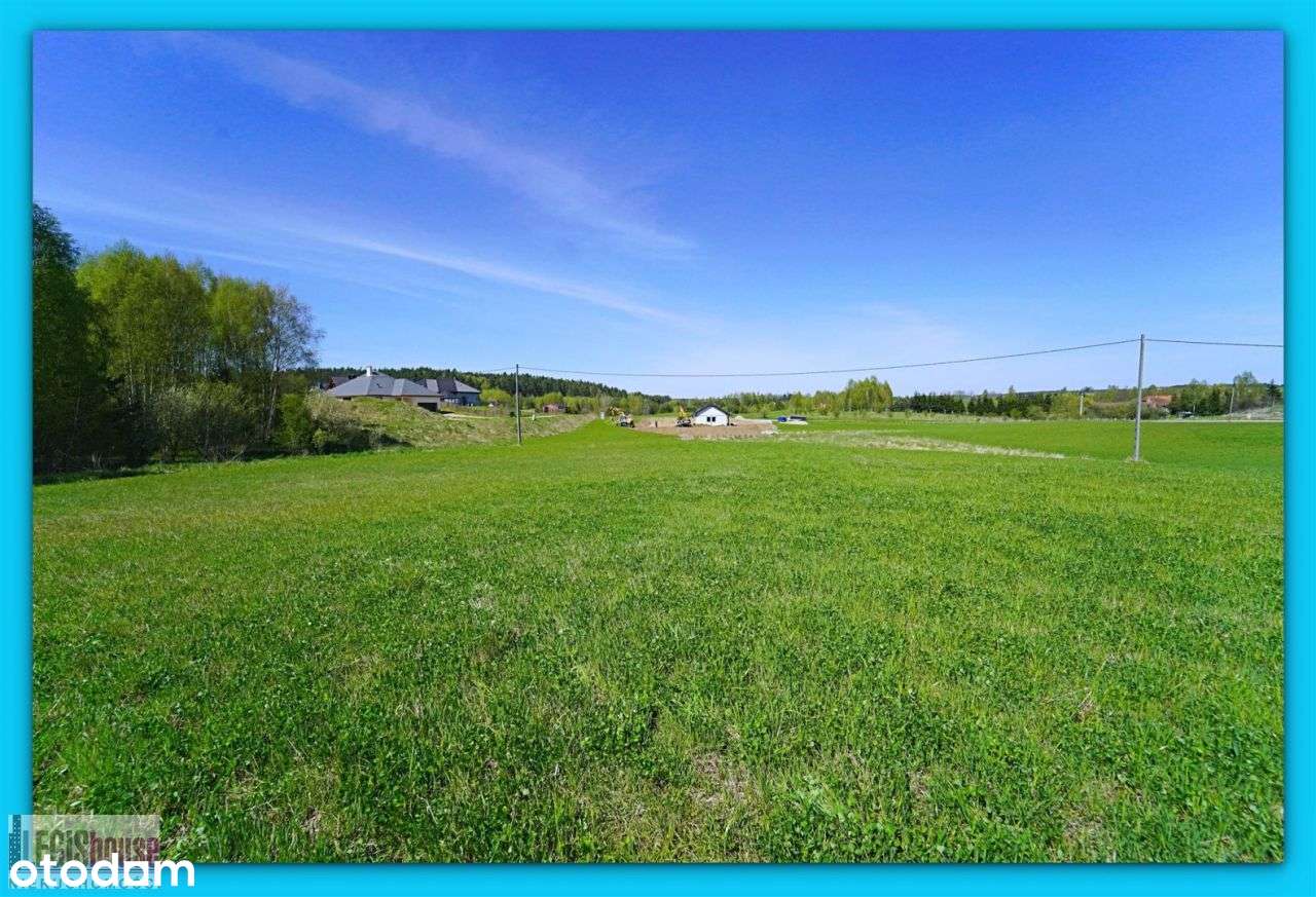 Różnowo* 3004 m2* możliwość podziału na 2 działki-11