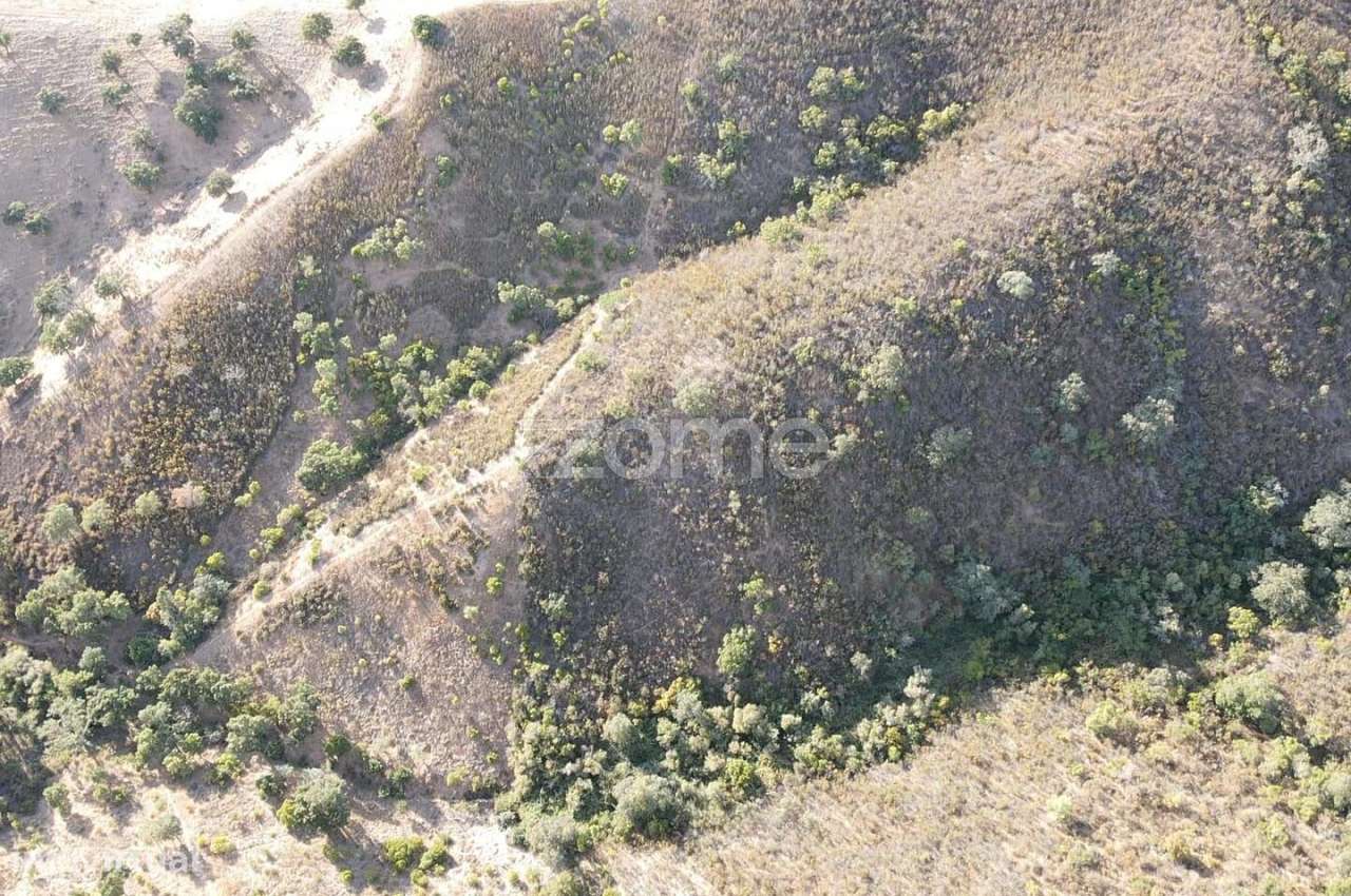 Terreno em S.B.Messines, Foz do Ribeiro com 45.680m2, c/ poço de ág... - Grande imagem: 5/20