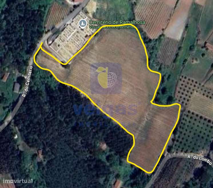 Vinha na Ramalhosa - Alvorninha - Grande imagem: 2/7