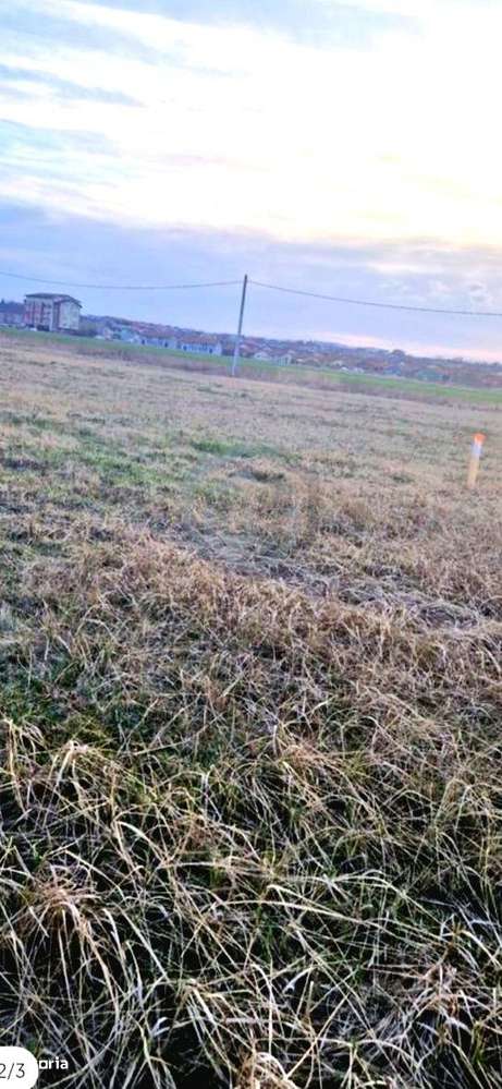 Teren intravilan Paleu cu PUZ si PUD aprobat - Imagine principală: 2/2