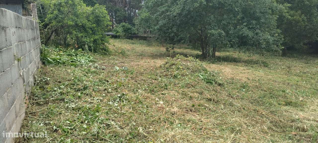Terreno em Águeda com 7000 m²-2