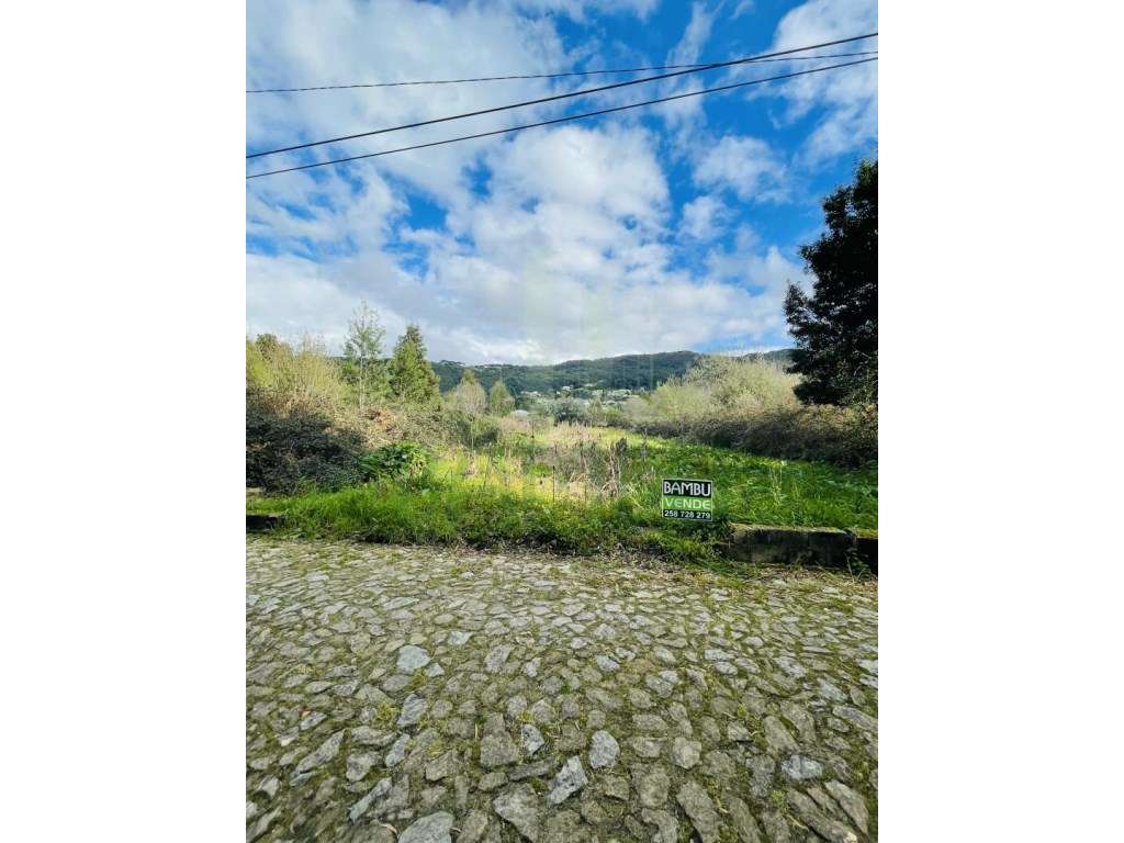 Terreno Agrícola para Venda - Grande imagem: 4/6