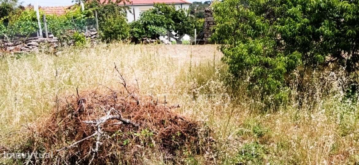 Casa em pedra para reconstrução em Murça / Vila Real - Grande imagem: 5/13