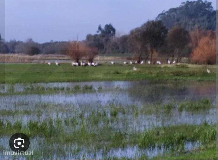 Terreno Rústico em zona urbana com 750 metros quadrados - Grande imagem: 2/15