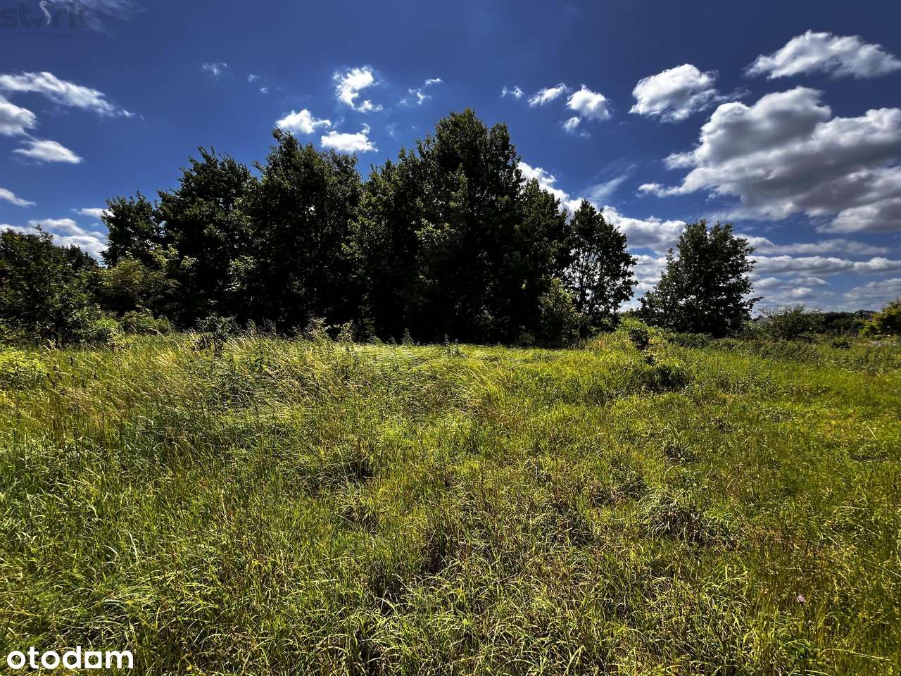 Działka Jaktorów 1720 m2 z warunkami zabudowy-5