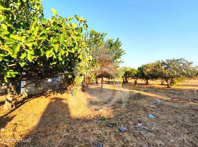 Quintinha aldeia da Caridade-8