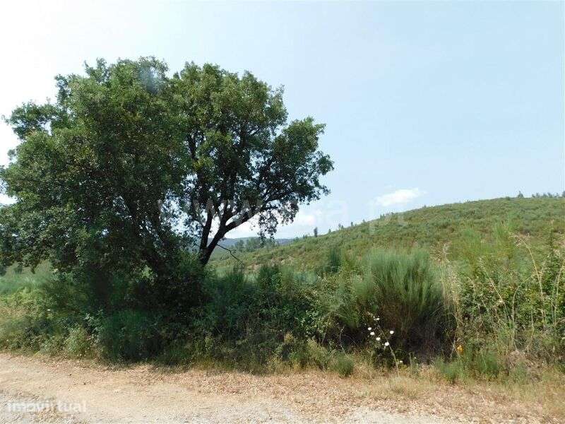 Terreno com ruina / Covilhã, Barco e Coutada - Grande imagem: 5/8