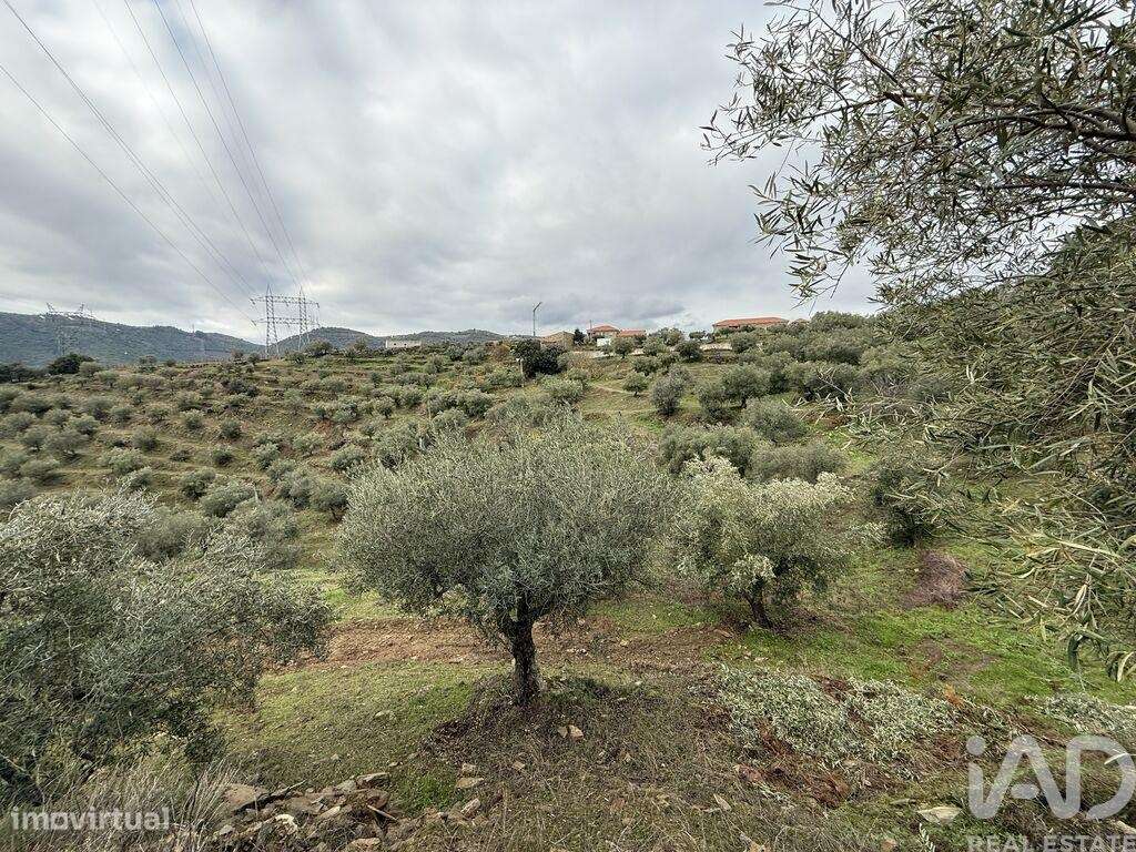 Quinta em Vila Seca e Santo Adrião - Grande imagem: 5/24