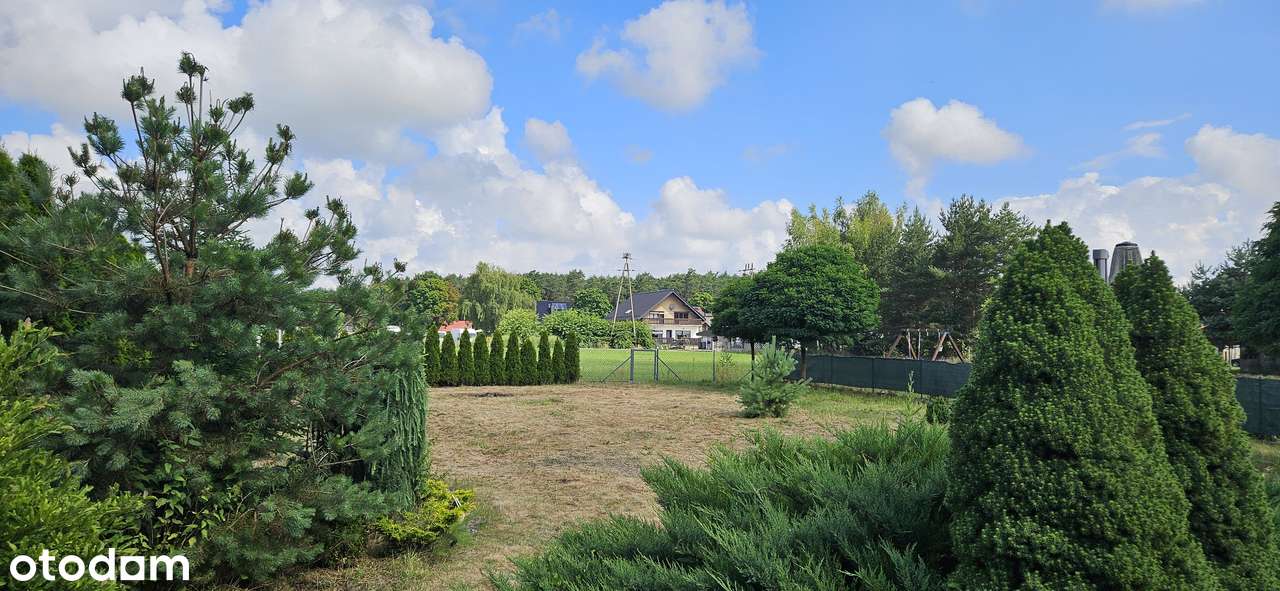 Dom parterowy 140 m² w Kędzierzynie-Koźlu z dużą działką - Pełny obrazek: 5/17