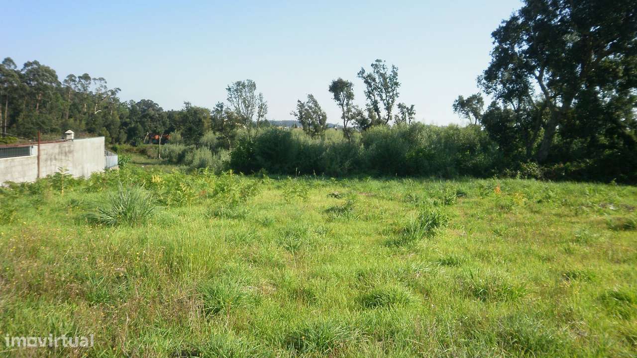 TERRENO PARA CONSTRUÇÃO EM GRIJO. - Grande imagem: 4/13