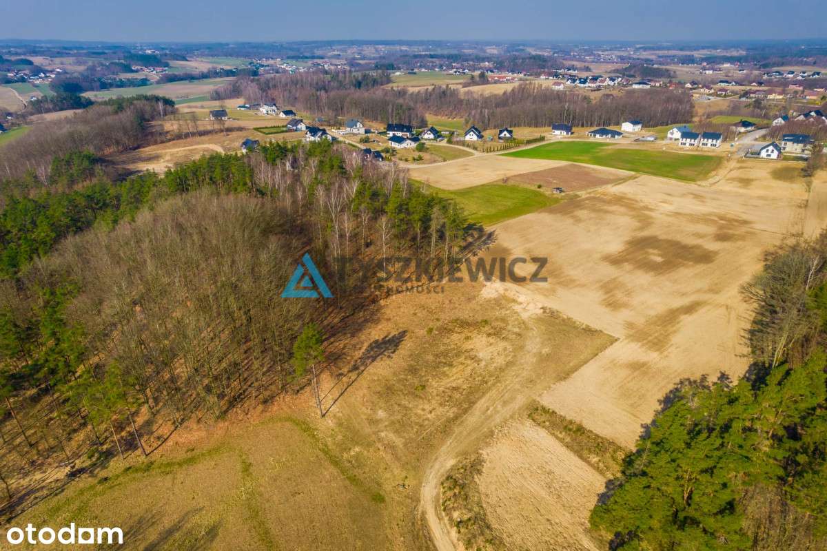 Działka budowlana z lasem Sierakowice 3667m2 - Pełny obrazek: 5/20