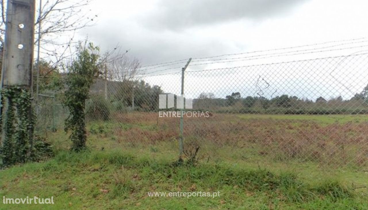 Venda de Terreno, Santa Leocádia Geraz Lima, Viana do castelo