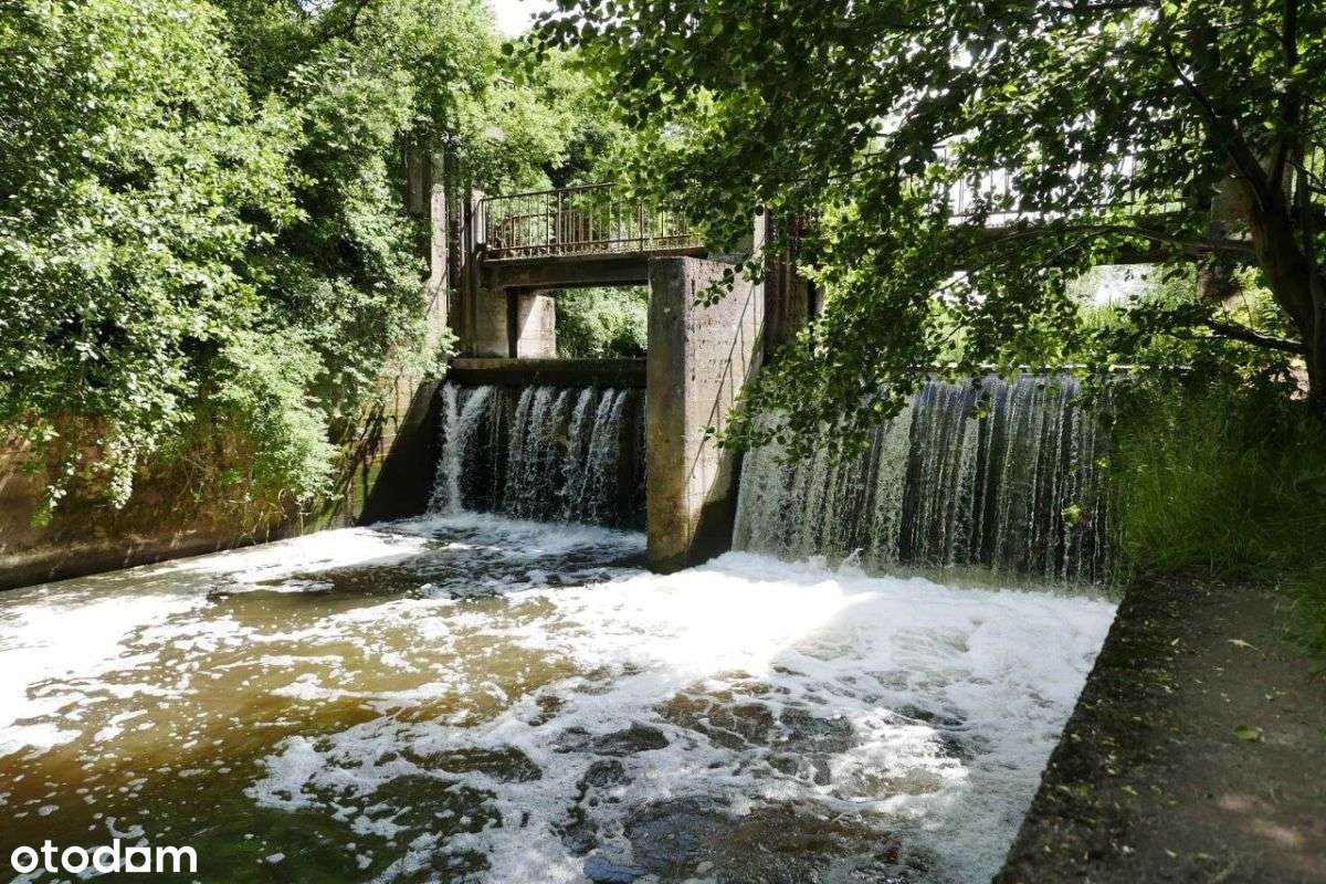 Blisko Piaseczna–Działka w pięknej okolicy - Pełny obrazek: 4/5