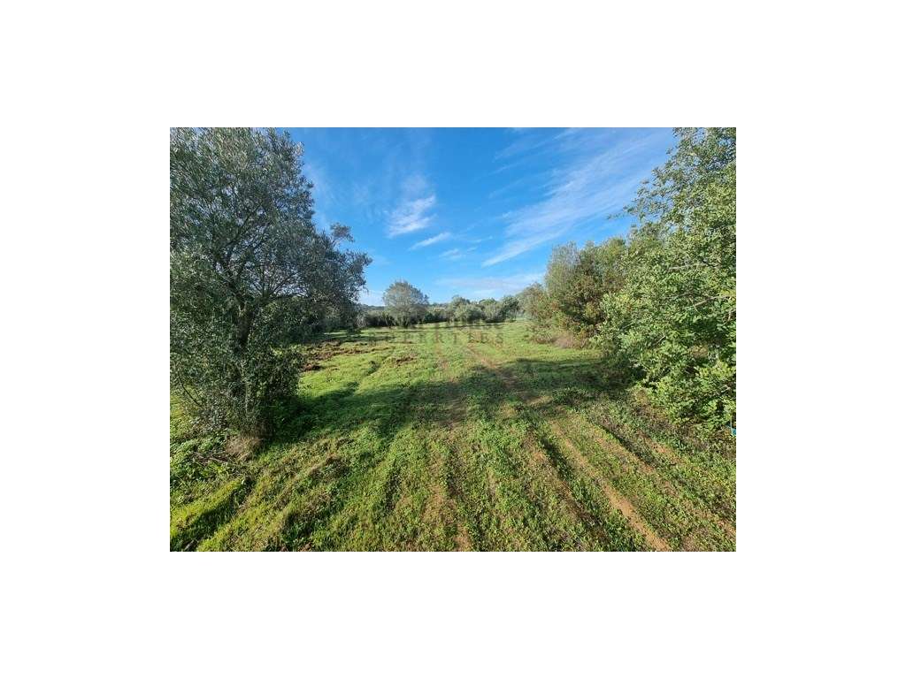 Terreno com projecto aprovado para moradia em Tôr - Loulé-6