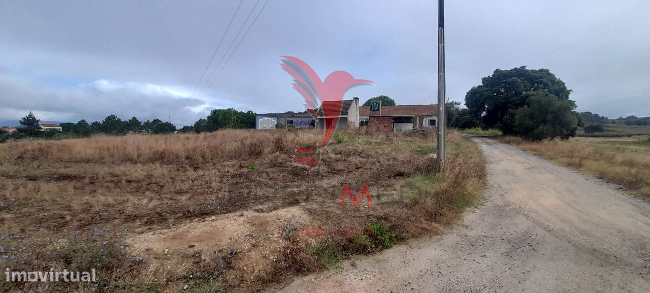 Terreno Industrial - Grande imagem: 4/31