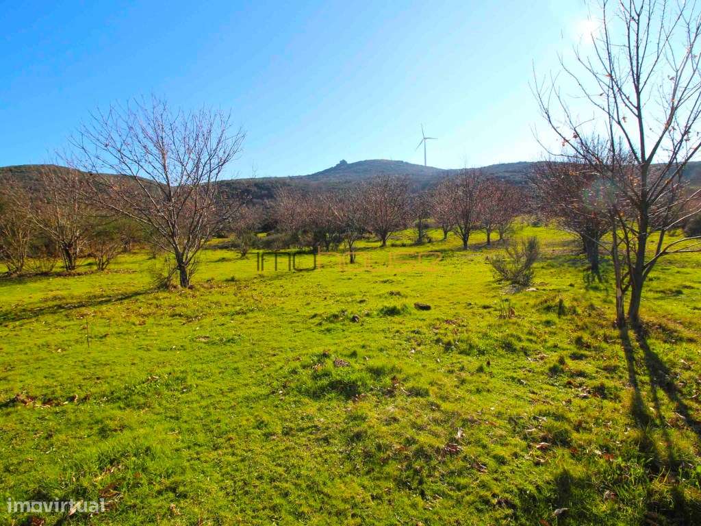 Terreno de 84 hectares-31