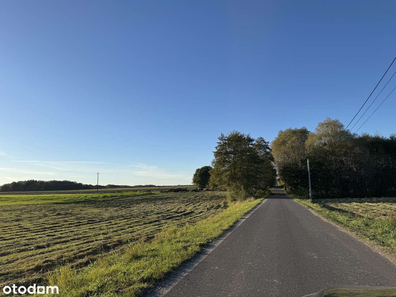 Atrakcyjna działka pod lasem z decyzją WZ uzbrojona - Pełny obrazek: 5/9