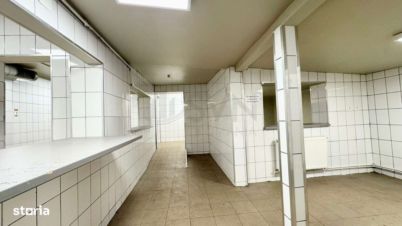 Spatiu pentru activitati comerciale I Laborator - Spatiu productie I F - Imagine principală: 2/15