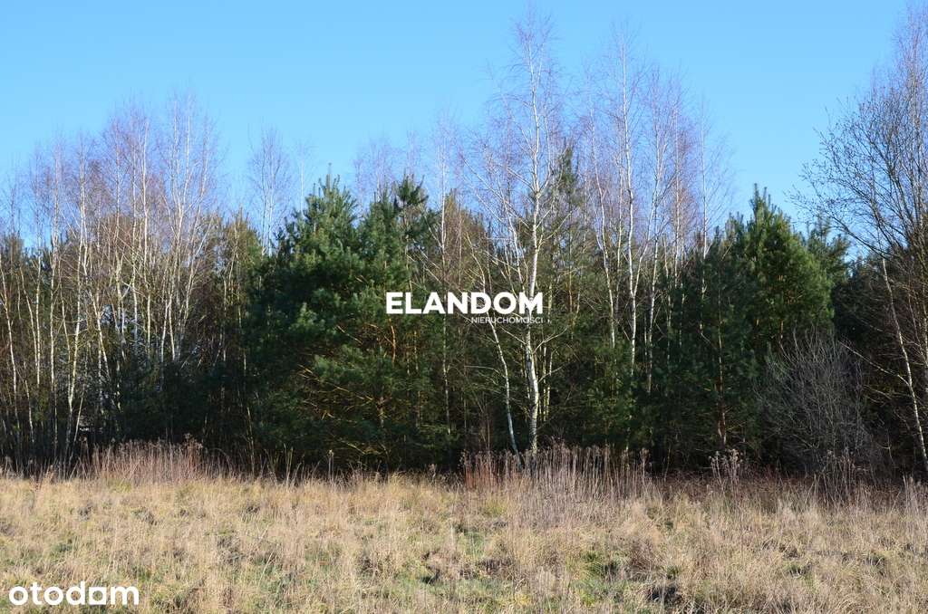 Cisza blisko natury piękny widok - Pełny obrazek: 5/8