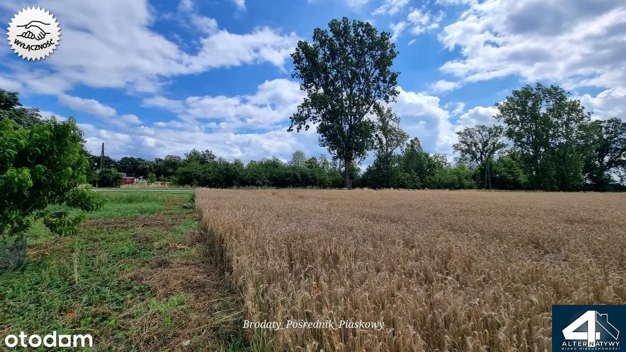 Duża działka budowlana na wsi. - Pełny obrazek: 5/7