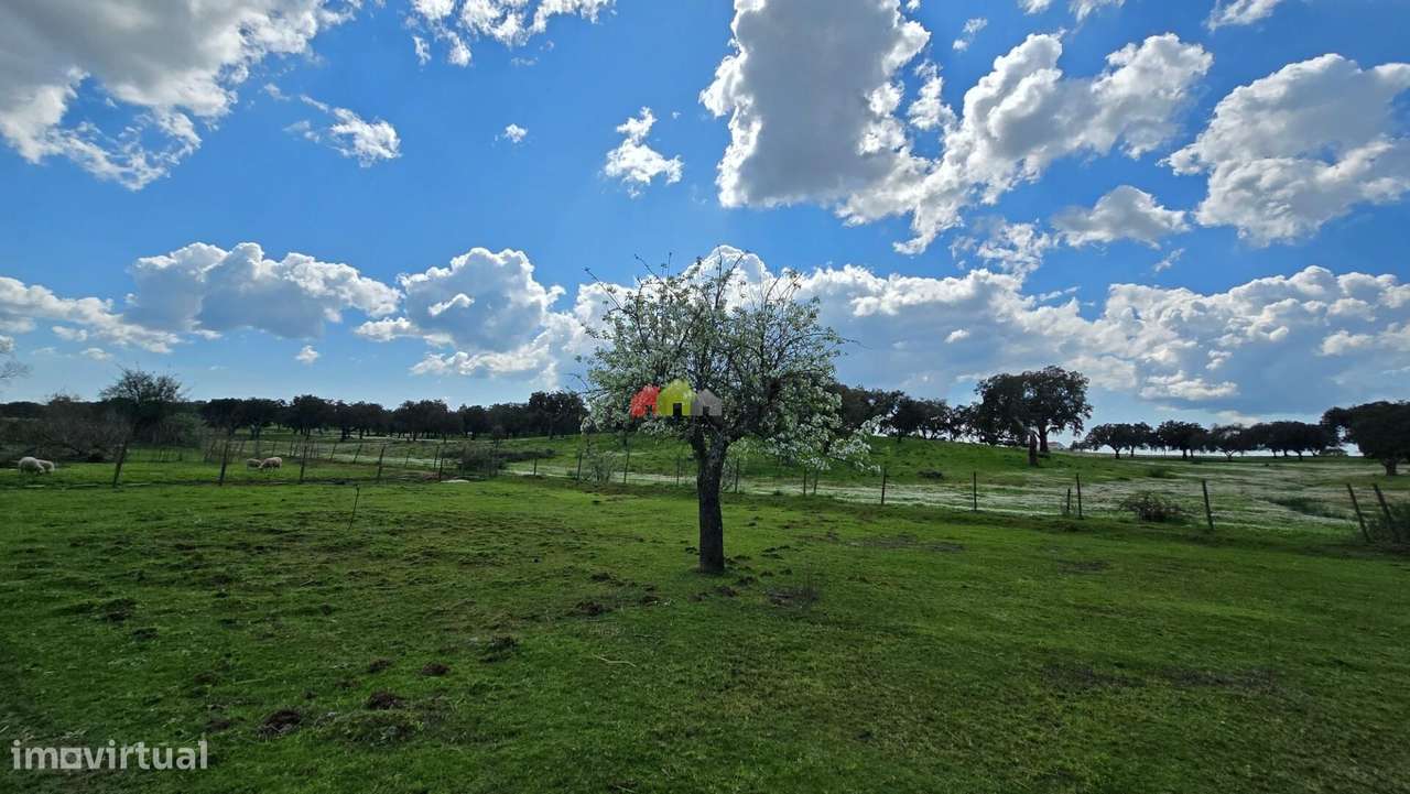 Quinta T2 em Fazendas do Cortiço-39