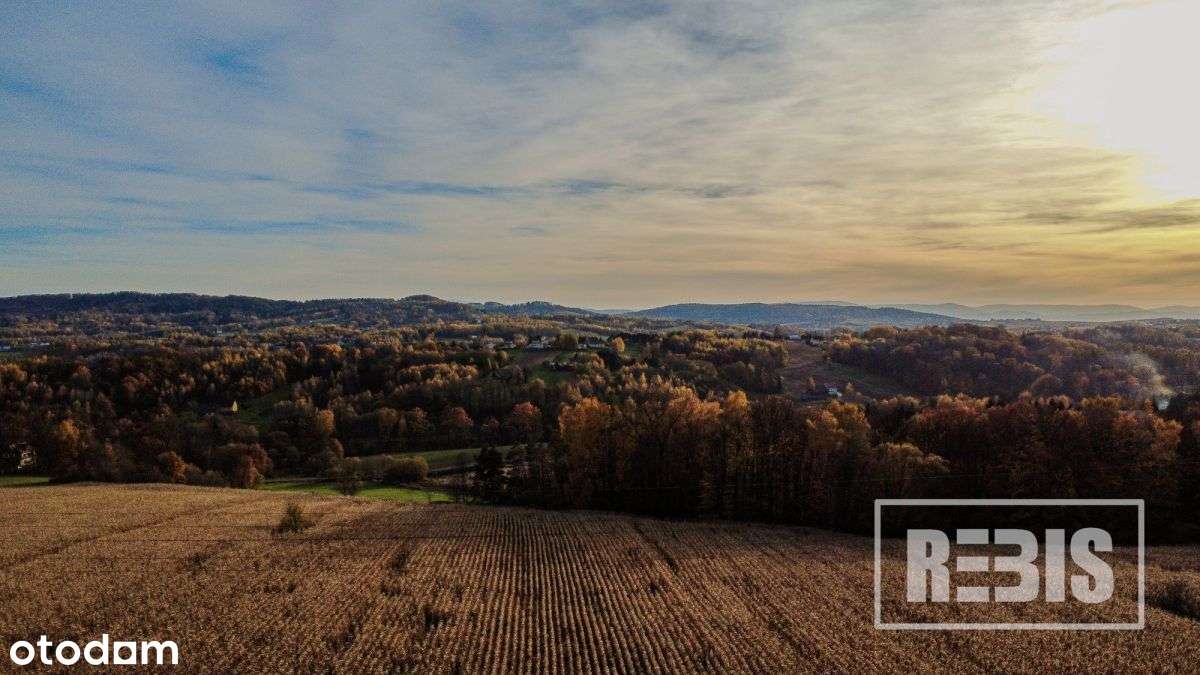 Eng| Działka Budowlano-Rolna, Tłuczań, 42a-9