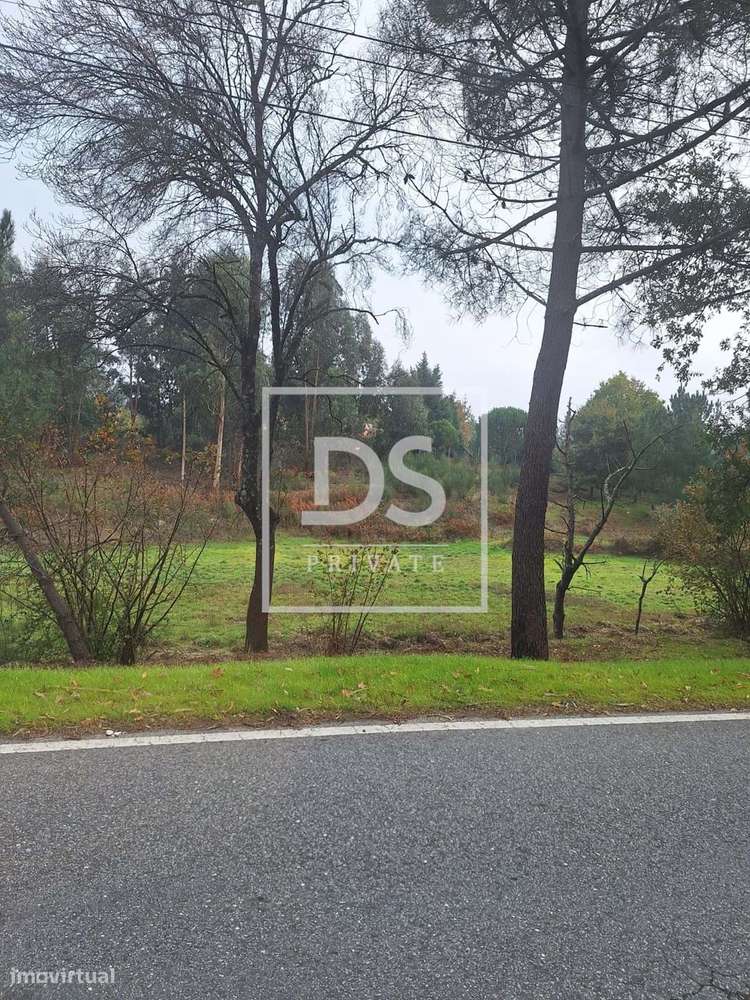 Fabulosa Quinta em Moimenta da Serra – Gouveia-14