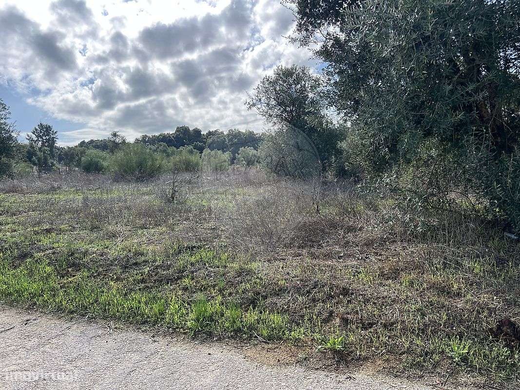 Terreno  para venda - Grande imagem: 4/21