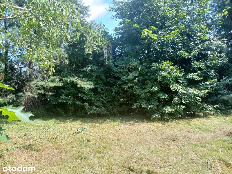 Działka, 1 600 m², Bukowina-3